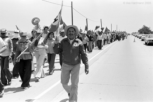 08_long_line_of_ufw_marchers_near_salinas_1979.jpg